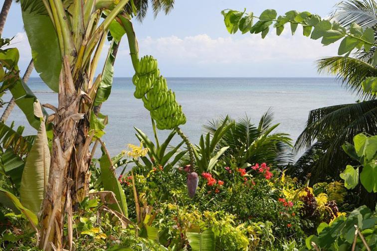 Coconut Grove Beachfront Cottages Matei Exterior photo